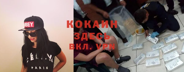дмт Алексеевка